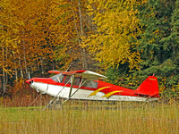 Airplane and Fall Colors