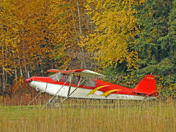 Airplane and Fall Colors