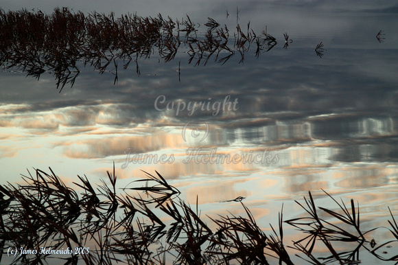 Evening Reflections