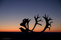 Sunset-Purple Sky and Antlers